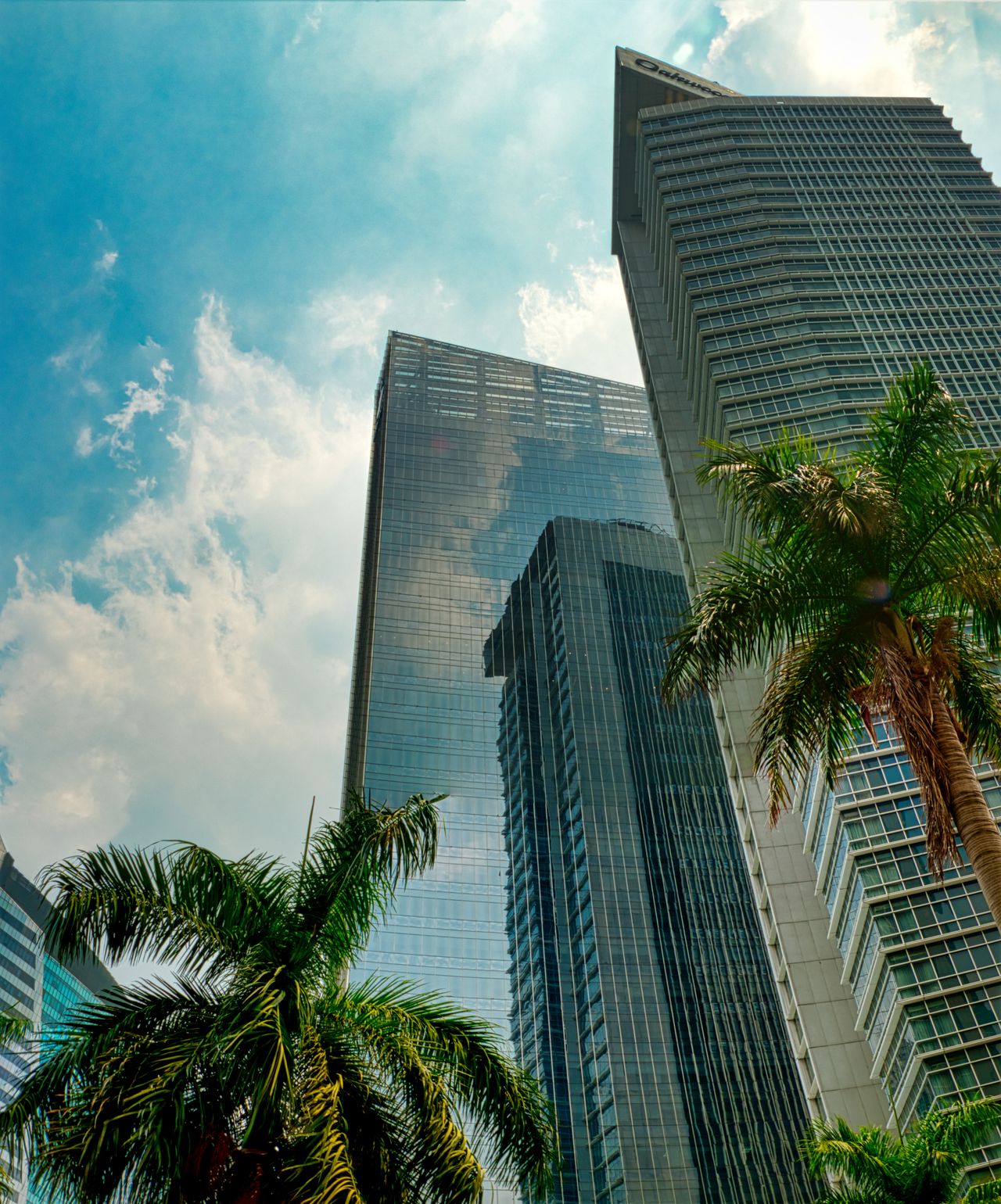 Building for Long-Term Investment Growth
